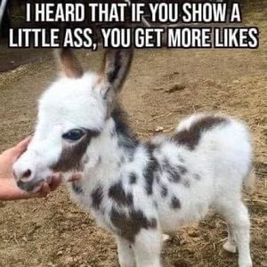 Hope this works! 3 or more items receives 25% off!